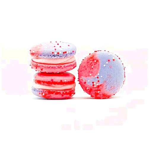 Macaron Centrale 12 Pack| Raspberry Caramel Vegan Macaron