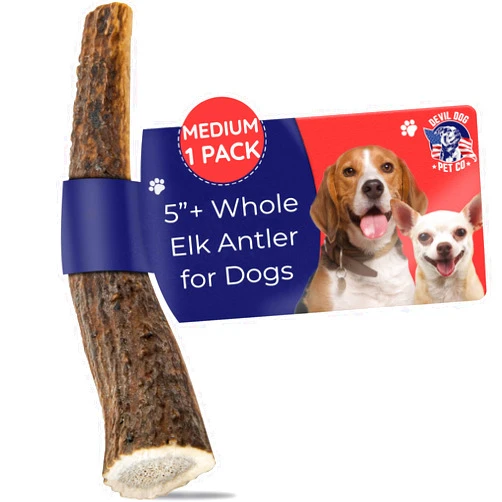 Devil Dog Pet Co. Elk Antlers for Dogs, Natural Dog Chew for Aggressive Chewers - Long Lasting and Odor Free - USA Sourced - Cleaner Teeth, Anxiety & Boredom Relief - Whole Medium 5