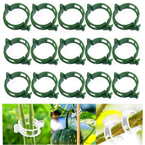 AIIONP 100 PCS Secured Plastic Plant Clip, 2024 Upgrade Plant Support Clips, Garden Clips for Climbing Plants, Plastic Trellis Clips Plant Support Clips Tomato Grape Vine Vegetables Plant Fixing Clips