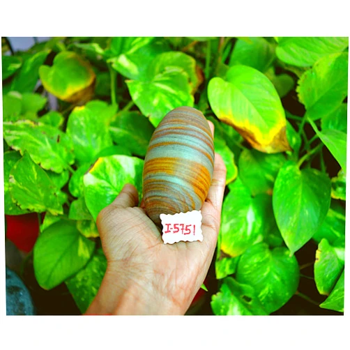 Shiva Lingam Shop Natural Narmadeshwar Shivling Narmada Shivlingam ~I-5751