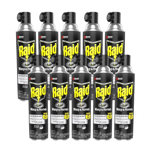 Raid Wasp and Hornet Killer (Pack - 10)
