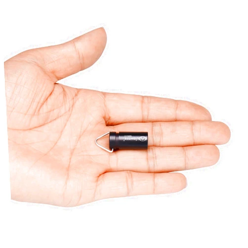 LIGHTFE MINI01 Keychain Flashlight mini Keychain Light is Light, Small, and Bright (Mini01 Black)