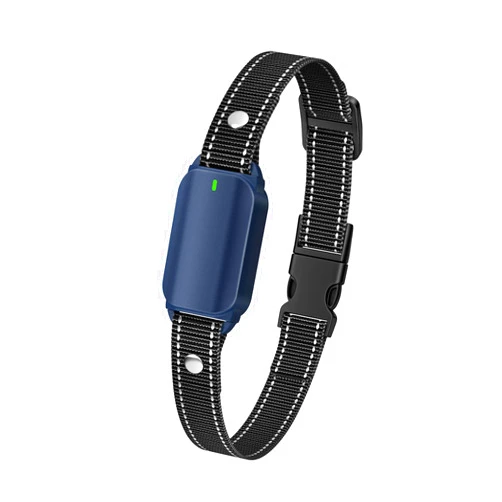SODOG Additional Collar for Model KT47 (Remote not Included) (Blue)