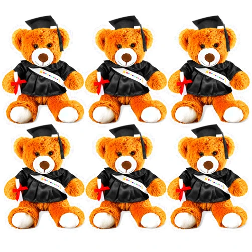 VercanMonth 6 Pcs Class of 2024 Graduation Bear 9 Inch Graduation Plush Stuffed Animal, Stuffed Bear Dolls with Gown Sash Diploma Cap Tassel for Preschool Kindergarten College Gifts (Black)