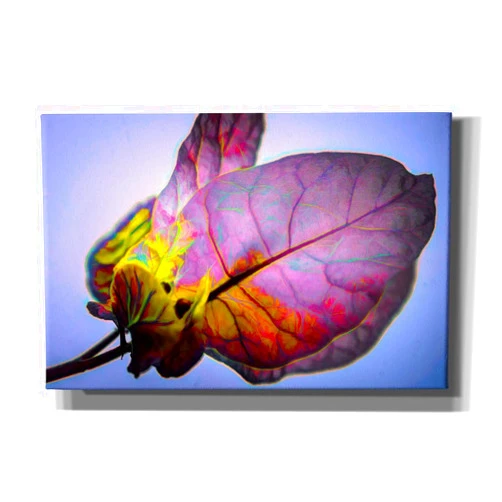 Epic Graffiti 'Bougainvillea Leaf' by Pamela Plummer, Canvas Wall Art, 18