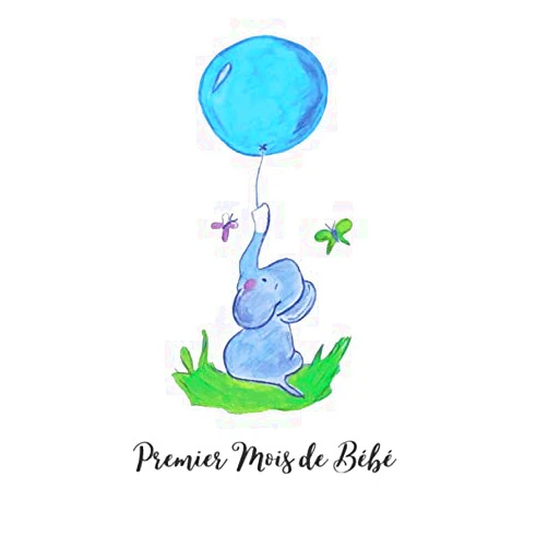 French Edition by nara dadaian (Author) Carnet du premier mois de bébé pour noter tous les jours son évolution au cours du 1er mois 6 x 9: journal de board pour les parents pour immortaliser ... premier mois de leur enfant (French Edition)