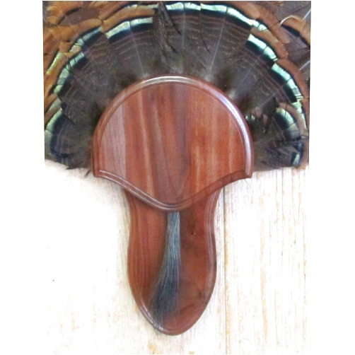 Taxidermists Woodshop The Black Walnut Turkey Mounting Kit with Beard Plate -02
