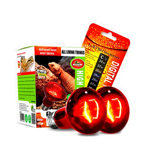 MCLANZOO Infrared Heat Lamp Bulbs 75W 2 Pack,Red Basking Spot Light Bulb Reptile Heating lamp for Bearded Dragon,Turtle,Snake,Leopard Gecko,Chicked with Digital Temperature Thermometer