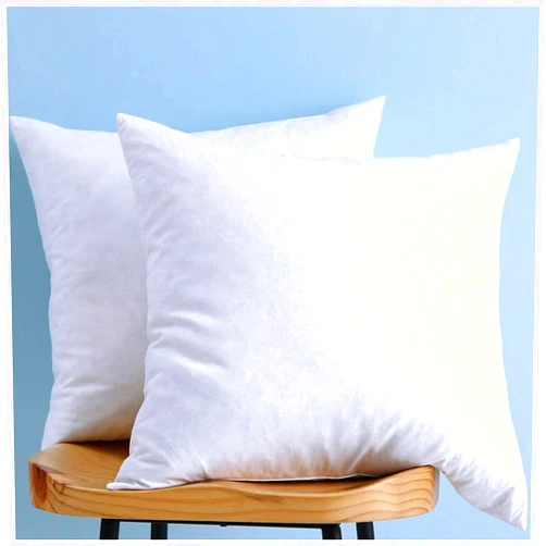 LunarTex Two Pillow Inserts, Down and Feather Throw Pillow Inserts, Cotton Fabric, 20X20 Inches