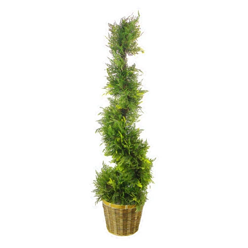 Admired By Nature 36 Inch Artificial Cypress Plants Spiral Shape Topiary Plant Tree W Planters, for Home Décor, Office Desk, Front Porch Indoor Outdoor, Two Tone Green W Bamboo Basket, ABNT003B-NTRL
