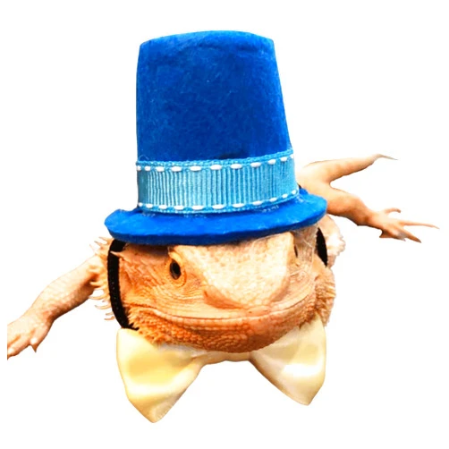 Copfeu Bearded Dragon Hat and Bowtie Cute Valentine's Day Clothes Set, Adjustable Small Animals Bowtie Hat for Reptile Lizards (Blue Set)