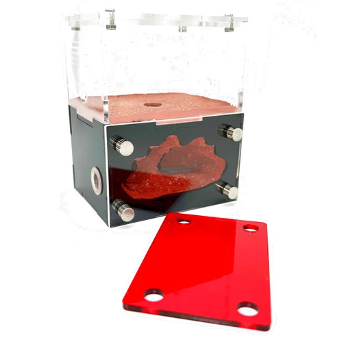 Generic Ant Nest, Ant House, Ant Nest for ant Farm, Ant Behavior Study House, Small Ant House.