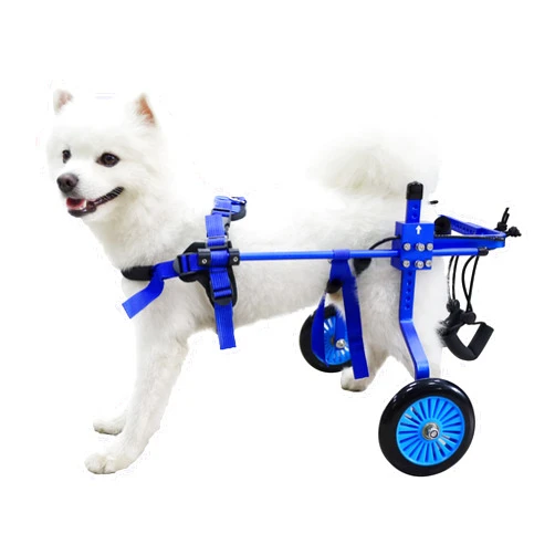 HobeyHove Adjustable Dog Wheelchair for Back Legs，Pet/Doggie Doggy Wheelchairs with Disabled Hind Legs Walking (S-Blue)