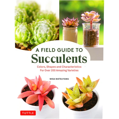By Misa Matsuyama (Author) A Field Guide to Succulents: Colors, Shapes and Characteristics for Over 200 Amazing Varieties