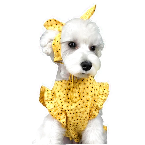 AZA Dog Floral Dresses for Small Dogs Lolita Clothes Princess Skirt Cat Costume Lace Pet Girl Cute Coat Outfits Summer Costumes Spring (L,Yellow Send Headwear)