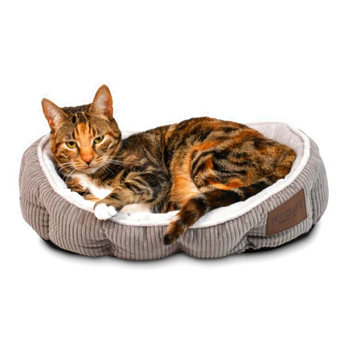 Pet Craft Supply Cat Bed for Indoor Cats - Kitten Bed - Machine Washable - Ultra Soft - Self Warming - Refillable Catnip Pouch,Grey,19x14x5 Inch (Pack of 1)