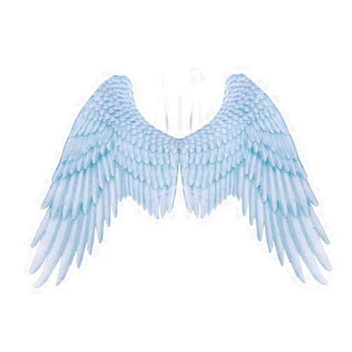 Bokze Non-Woven Angel Wings for Kids Adult,White/Black Wings with Elastic Straps, Festive Party Halloween Cosplay Costume