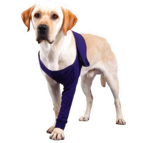 Xqpetlihai Dog Recovery Sleeve for Post-Op, Skin Diseases - Breathable Cotton/Spandex - Blue - S, M, L, XL, XXL