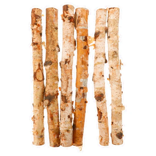 AUTSUPPL 6pcs Craft Birch Branches Decorative Logs for Display Natural Wood Twigs Stick for DIY Crafting