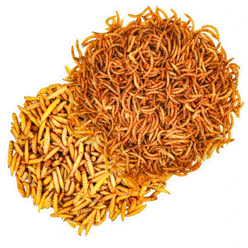 Petamore 2.5oz Dried Mealworms and Black Soldier Fly Larvae Worms Mix for Chickens Wild Birds-High Protein Meal Worms Chicken Treats, Non-GMO Organic Chicken Feed Food for Wild Birds, Ducks, Reptiles