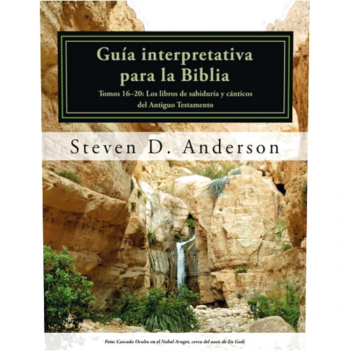 Steven D. Anderson,Claudia Murillo,Juan Esteban Pineda Guía interpretativa para la Biblia: Tomos 16–20: Los libros de sabiduría y cánticos del Antiguo Testamento (Spanish Edition)