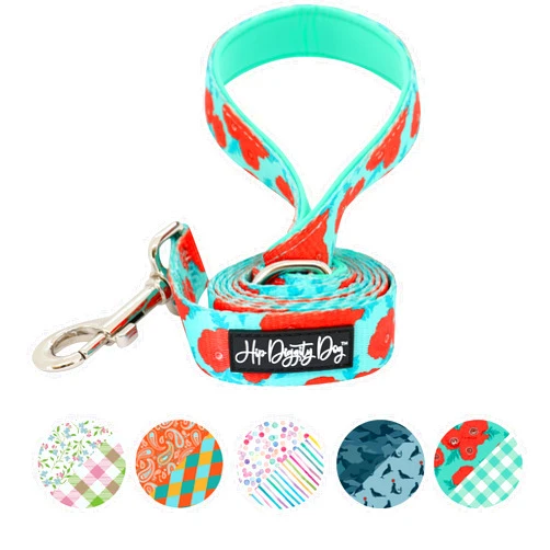 HIP DIGGITY DOG | Padded Handle Dog Leash | Sizes for all Dogs Great and Small | Treat your Dog to Tail Wagging Comfort and Style (Poppy, Small)