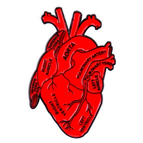 LATINDAY Dissected Anatomical Heart Art Enamel Pin Anatomy Model Medical Science Badge Lapel Pins Accessory for Backpacks Badges Hats Bags for Women Girls Kids Gift