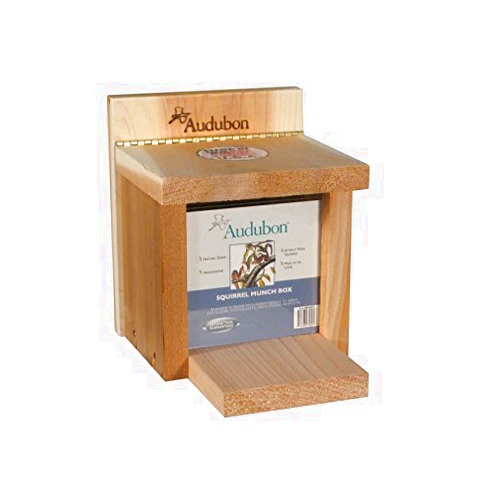 Audubon Squirrel Feeder Cedar