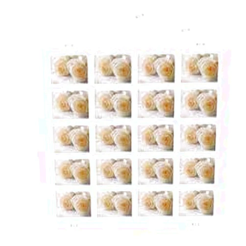 Awareness Vinyl Wedding Roses Commemorative Stamp 4520 Sheet of 20 Forever Stamps awareness viny for USPS