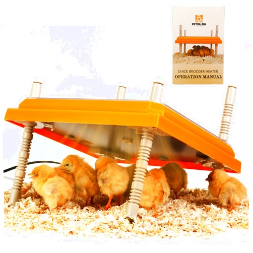 Pitalok Brooder Heater for Chicks: Chick Brooder Heating Plate with Easy- Cleaning Plate Poultry Coop Heater Chicks Warmer 12