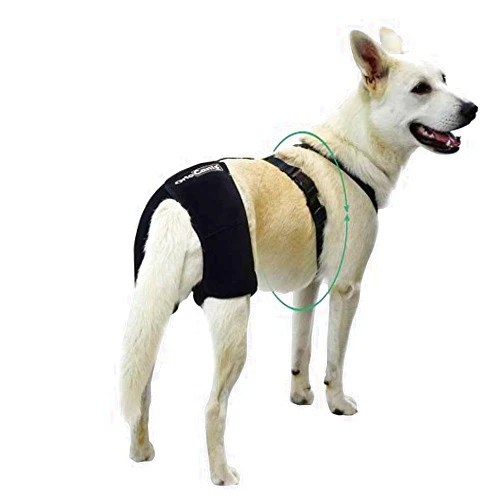 Ortocanis - Hip Support for Dogs with Hip Dysplasia or Osteoarthritis (L)