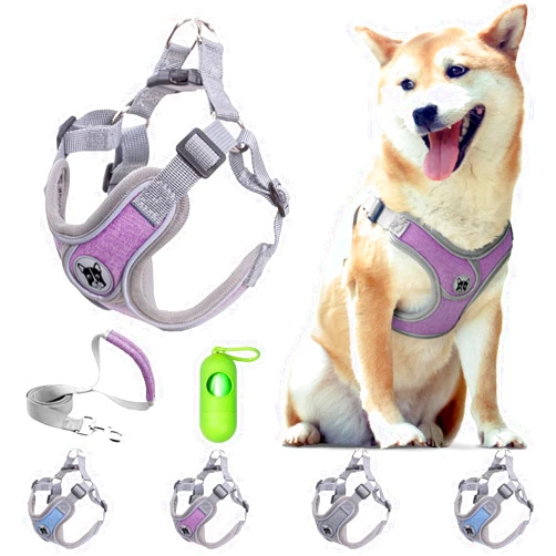 Patas Lague Dog Harness with Leash Set Adjustable Soft Padded Step-in Solid Dog Vest Harness No Choke No Pull Reflective for Medium Dogs with Poop Bags and Dispenser Purple L
