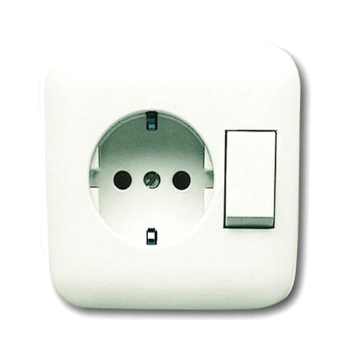 Busch-Jaeger 4310/6 EUJ-212 Socket with Switch