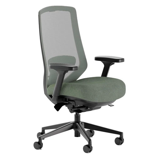 Branch Ergonomic Chair Pro - Mesh Office Chair with 14 Points of Adjustment - Height, Depth & Tilt Adjustable - 5D Armrests - Forward Tilt, Smooth Recline, and Lumbar Support - Everglade