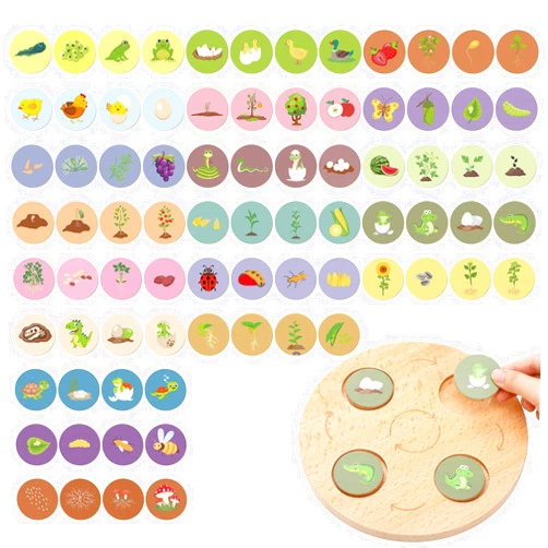 Arrowbash Science Life Cycle Toys for Kids, Learning & Educational Toys, 20 Styles 80 Pcs Wooden Montessori Trays Preschool Education Toys Kit for Age 3 4 5 6 7 8+