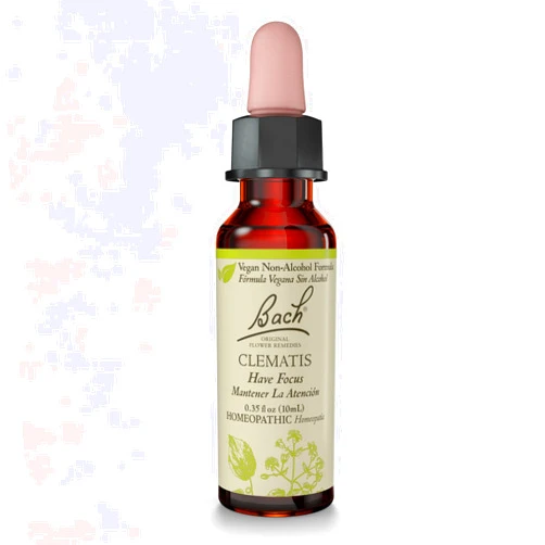 Bach Original Flower Remedies, Clematis (Non-Alcohol Formula) - Have Focus - Natural Homeopathic Flower Essence for Emotional Balance - Vegan, Gluten Free, Sugar Free - 10mL Dropper