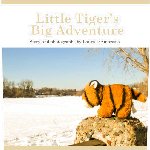 Laura D'Ambrosio Little Tiger's Big Adventure