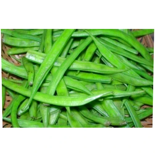 Shopvise Cluster Beans Seed (25 Per Packet)