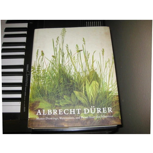 Andrew Robison,Klaus Albrecht Schroeder Albrecht Dürer: Master Drawings, Watercolors, and Prints from the Albertina