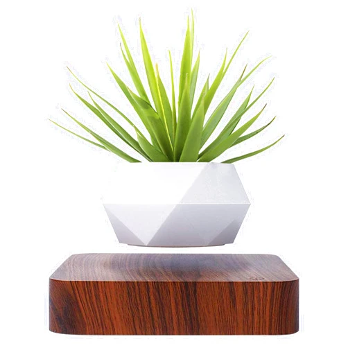 Generic Levitating Air Bonsai Pot, Rotation Flower Pot Planters, Magnetic Levitation Suspension Floating Pot, Potted Plant Home Desk Decor in Flower Pots & Planters from Home & Garden on (Light Color)