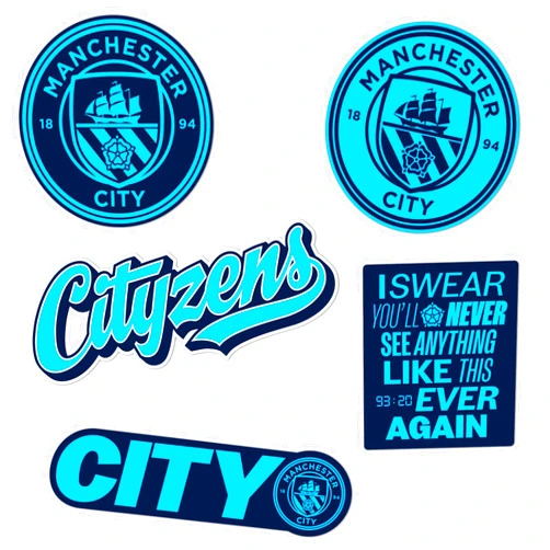 Desert Cactus Manchester City Sticker Man City MCFC Sheet Vinyl Football Soccer Premier League Decal Laptop Water Bottle Car Scrapbook (Type 2-9)