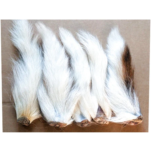 Generic 5 Bone-in Large Northern Bucktail Deer Tail Fly Jig Tying - White
