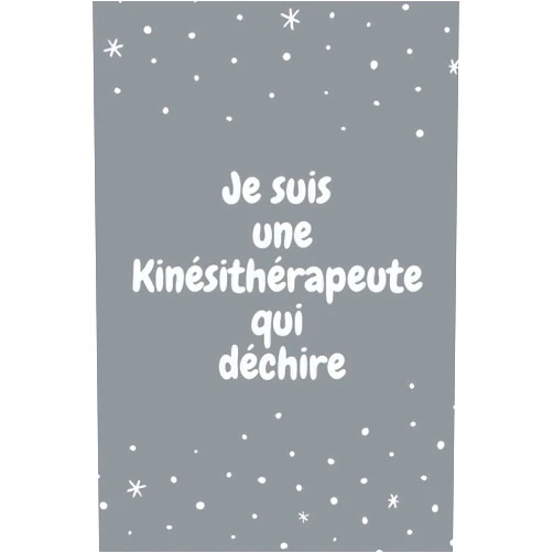 Valou Edition Je suis une Kinésithérapeute qui déchire: Journal carnet de notes ligné super cadeau pour Kinésithérapeute anniversaire noel collègue copine (French Edition)