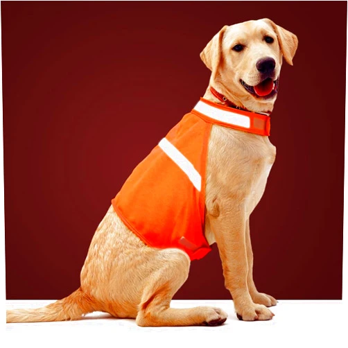 Vizbrite Dog Jacket High Visibility Safety Reflective Dog Vest for Small Medium Large Dogs (Large, Orange)