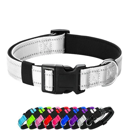 Penseepet Reflective Dog Collar Padded with Soft Neoprene Breathable Quick Release Basic Dog Collars for Medium Large Dogs Boy Girl Silver