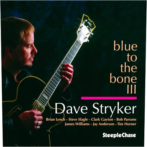 Dave Striker (Artist), Dave Stryker (Artist), Tim Horner (Performer), Steve Slagle (Performer), Clark Gayton (Performer), Brian Lynch (Performer), Jay Anderson (Performer), Bob Parsons (Performer), James Williams (Performer) & 5 more Format: Audio CD Blue To The Bone III