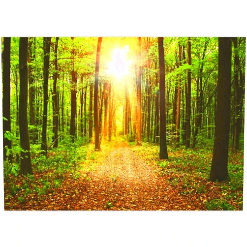 artgeist Wall Mural Green Forest 118x83 in - Non-Woven Wallpaper Fleece Wall Decor Photo Print Picture Image Design Home c-B-0076-a-b