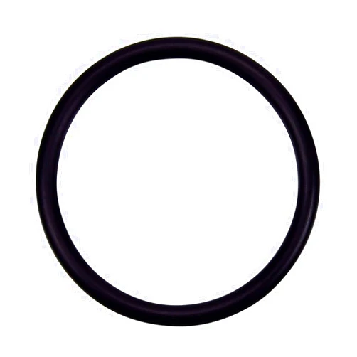 Pentair 274494 Adapter O-Ring Replacement Pool/Spa Filter, Heater and Valve