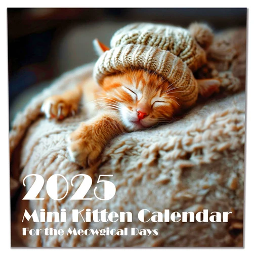Generic 2025 Adorable Kittens Wall Mini Calendar Family Planner | 7 by 14 Inches When Open Featuring Cute Baby Cats | 13-Month Calendar Starting from December 2024 to December 2025
