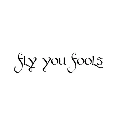 Tamico 16.5CM3.8CM Fun FLY YOU FOOLS Car-styling Decal Vinyl Black Silver Car Sticker C15-3179 - (Color Name: Black)